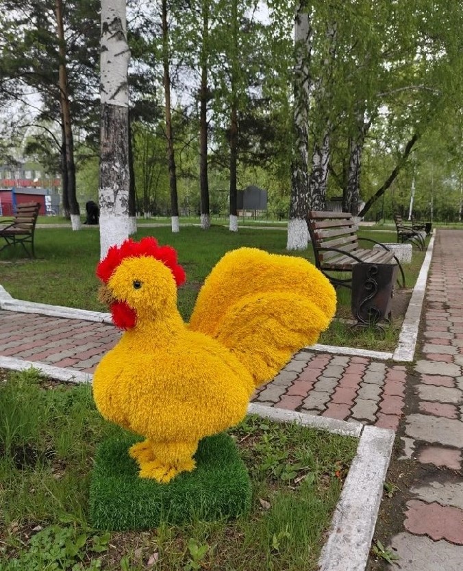 Фото 7 Петух